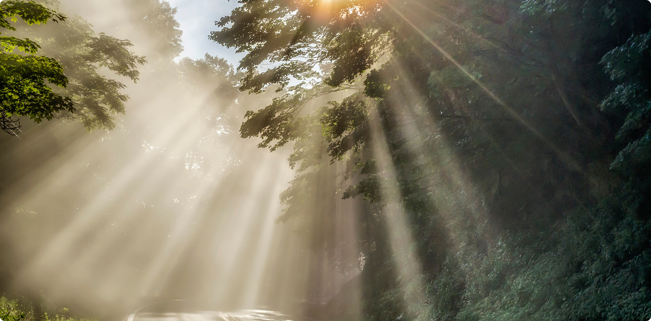 프로그램 소개 이미지