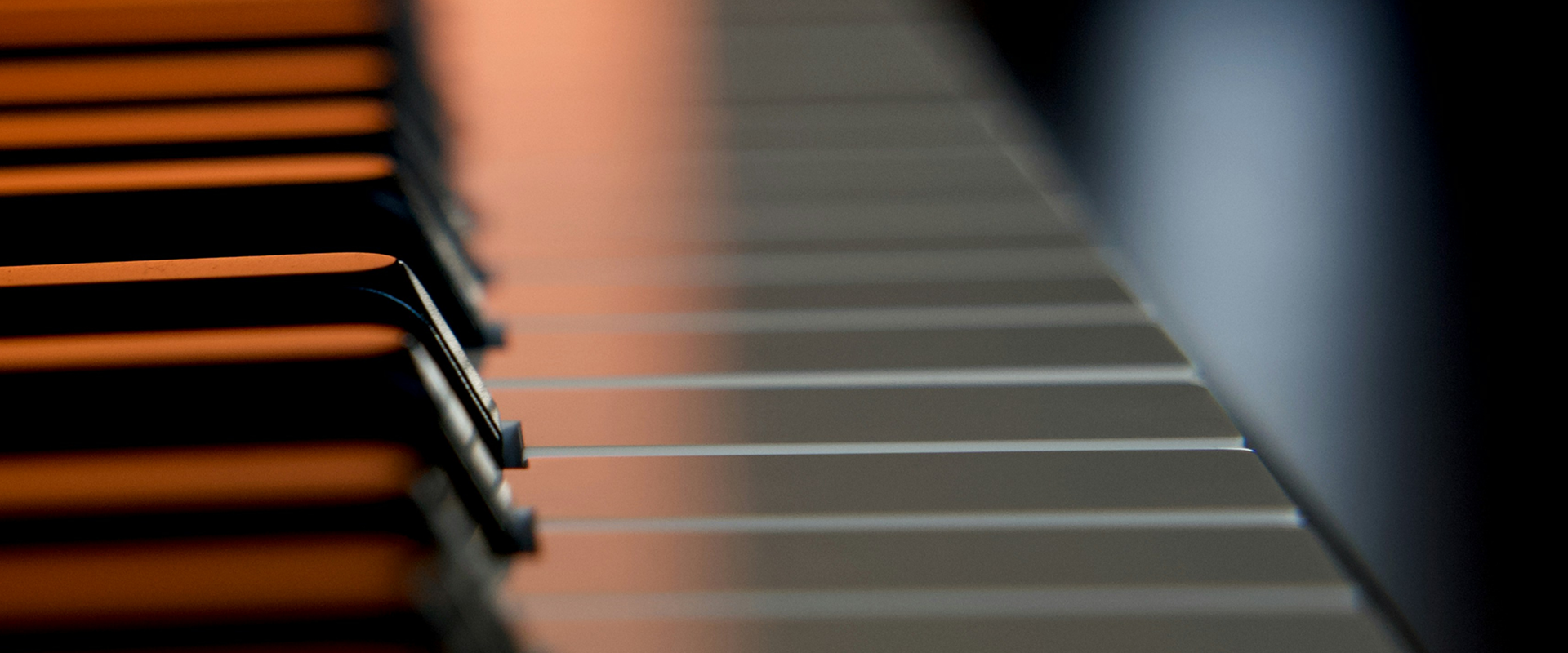 하이붓다 뮤직 배경 이미지